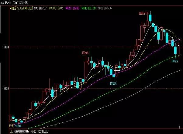 豆油最新行情概覽，市場(chǎng)走勢(shì)分析與未來(lái)展望