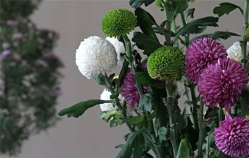 最新娛樂(lè)頭條，躍上成功舞臺(tái)的魔力之旅，自信與成就感的碰撞