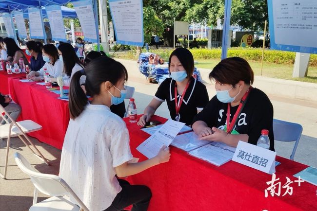 石碣最新招聘動(dòng)態(tài)，把握職業(yè)機(jī)遇，共創(chuàng)美好未來(lái)之路