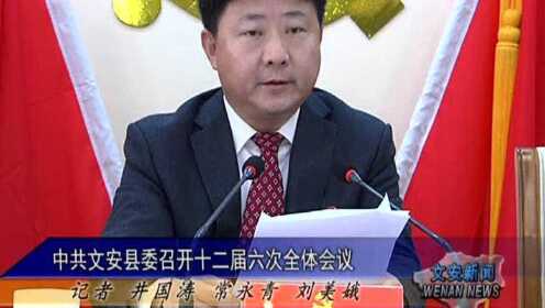 河北文安最新新聞報道