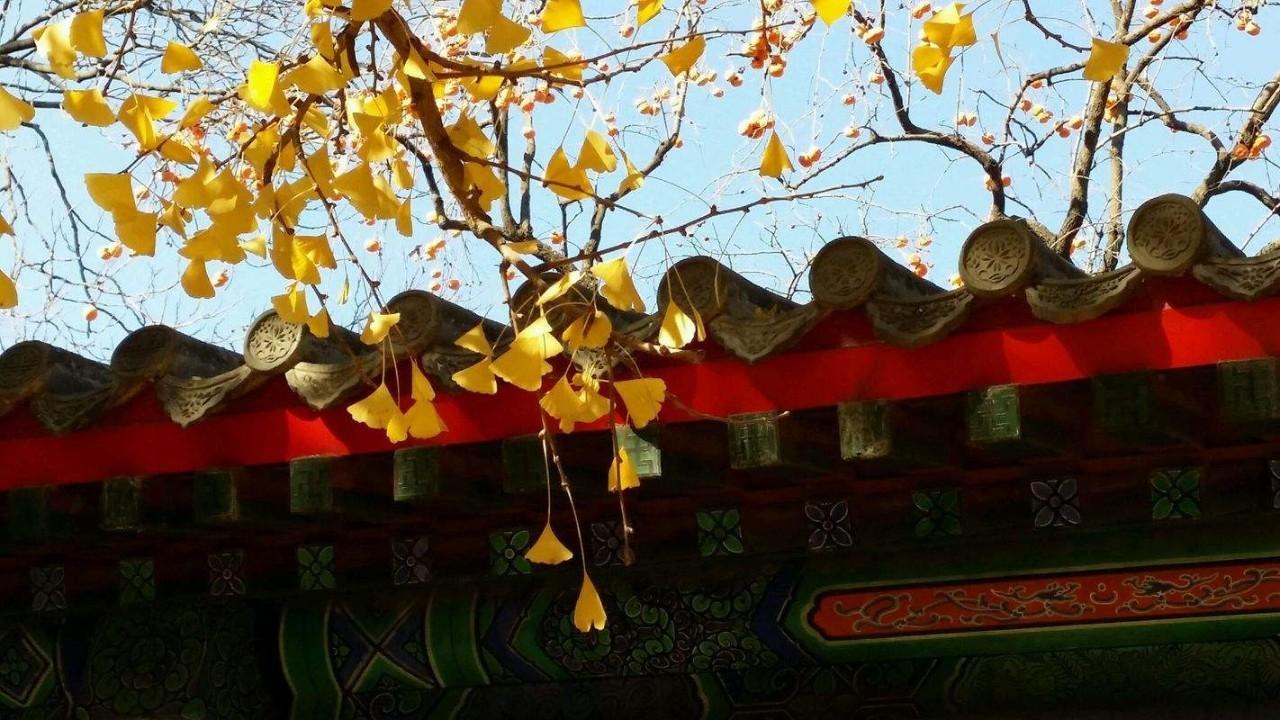 714路公交車最新路線全面解析與體驗之旅