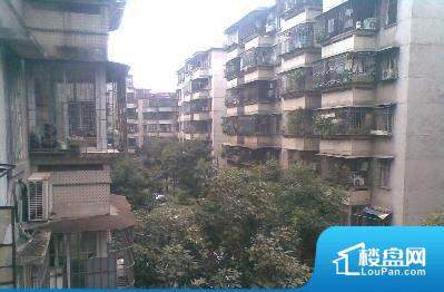 榴社區(qū)2024最新地址揭秘，科技前沿重塑生活體驗新篇章