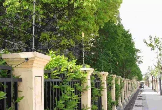 山河藥輔最新動(dòng)態(tài)，引領(lǐng)醫(yī)藥行業(yè)新篇章