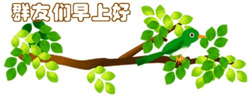 最新清晨祝福短信，晨曦中的溫暖問候，傳遞美好祝愿與關(guān)懷