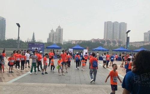 西關(guān)海最新動(dòng)態(tài)，夏日童趣與溫情涌動(dòng)