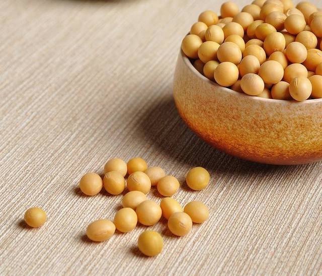 國產大豆最新價格，時代的變遷與影響