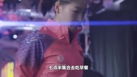 笑斯人最新視頻，日常趣事與友情的紐帶展現(xiàn)！