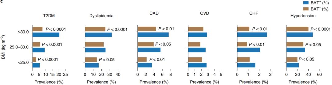 腦疾病最新研究，重塑大腦信心與成就感之路