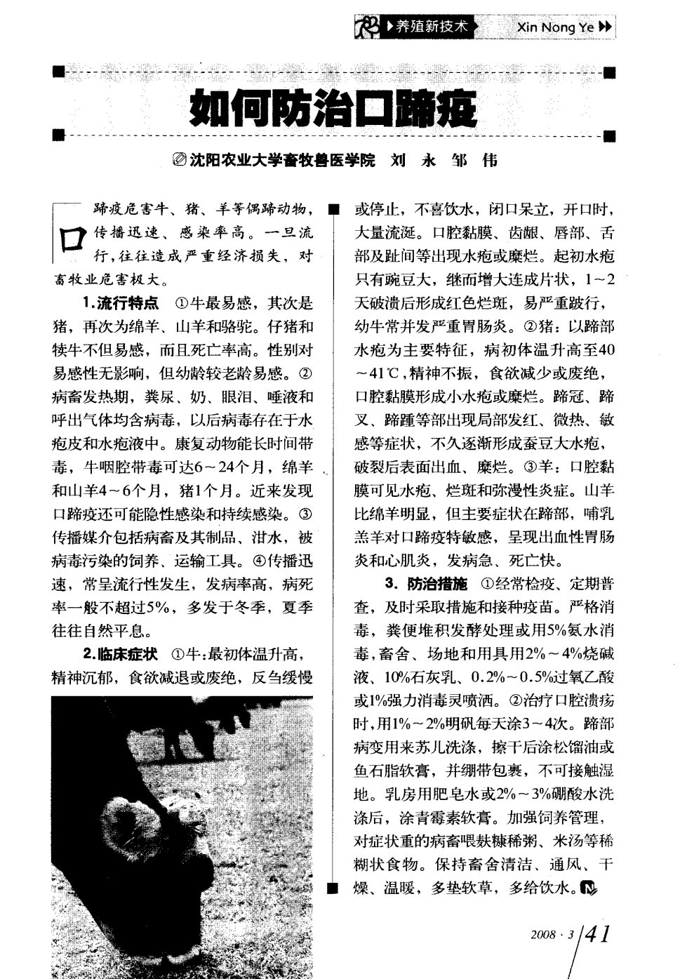 口蹄疫最新科研，自然探險(xiǎn)與內(nèi)心平和的追尋之旅