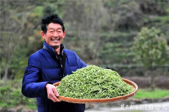 最新夷陵新聞，探索自然美景的旅程，尋覓內(nèi)心平和之地