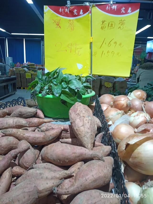 最新地瓜價格解析，查詢指南與任務(wù)攻略