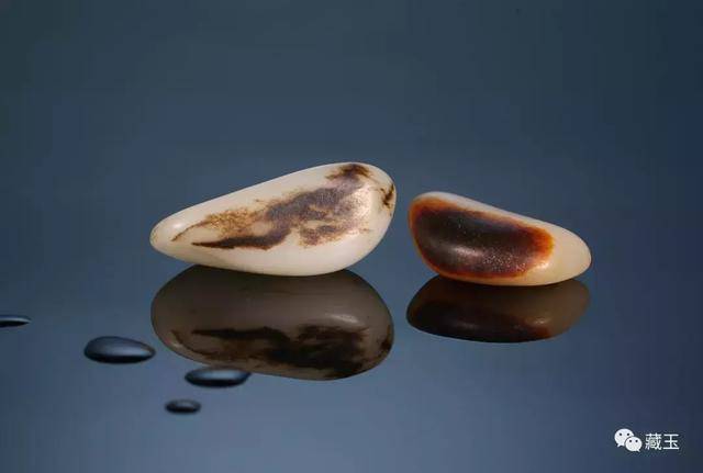 黑皮玉最新動態(tài)，神秘魅力升級，引人矚目?