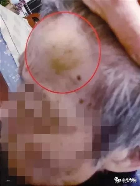 揪脖子最新視頻，探秘小巷風(fēng)情小店，獨(dú)家揭秘！