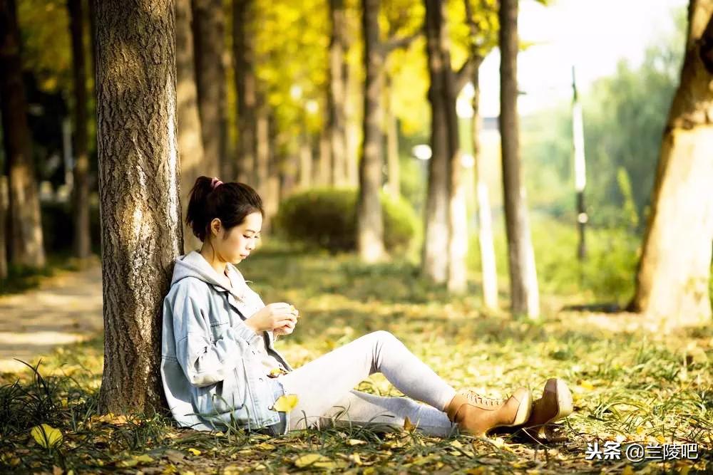 郯城與邳州沖突的深度解析與案例分析，最新進展與案例分析