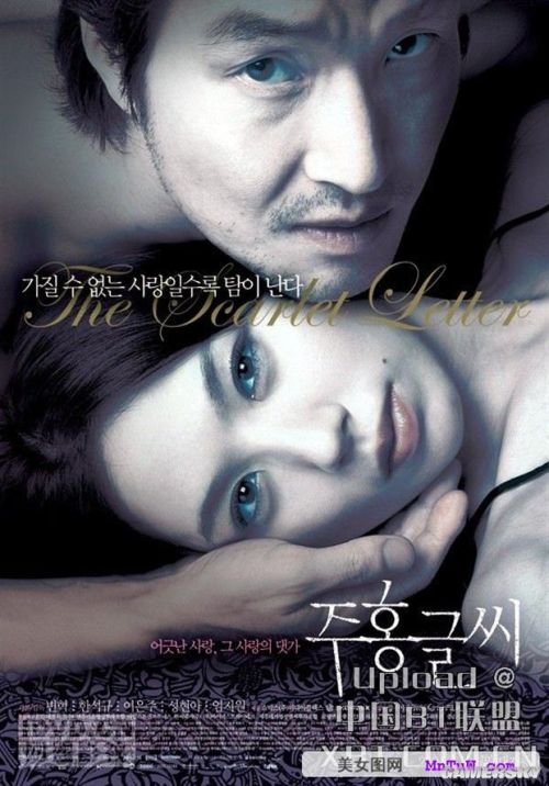 最新內(nèi)地倫理電影探索與啟示，揭示社會(huì)倫理的啟示與價(jià)值