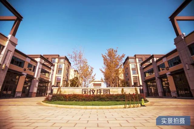 鳳儀莊園最新動(dòng)態(tài)，家的溫馨與友情的綻放時(shí)刻