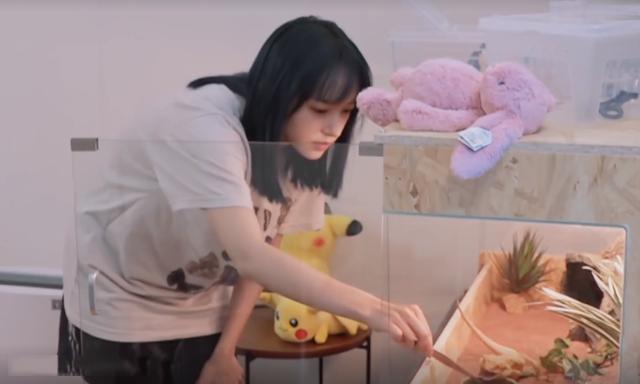 程瀟最新綜藝節(jié)目，心動瞬間，不容錯過！?