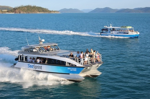 時(shí)代背景下的璀璨星辰，最新號(hào)號(hào)天堂綜述