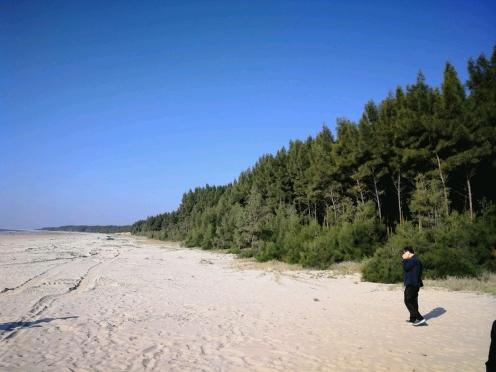 揭秘2025最新臺風(fēng)路線，提前預(yù)警，保障安全無憂