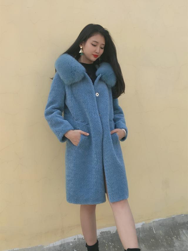 三七花最新價格揭秘，溫馨小故事中的尋找之旅