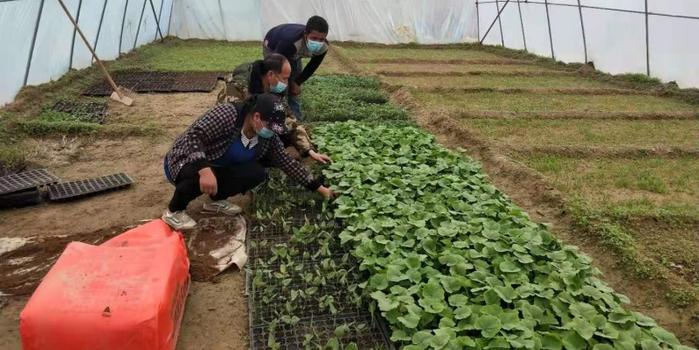 策勒最新招聘啟航人才新篇章，學(xué)習(xí)變化，擁抱自信與成就，啟程人生新征程！