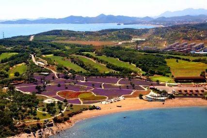 心悅海島探險(xiǎn)攻略，最新任務(wù)指南與探險(xiǎn)體驗(yàn)