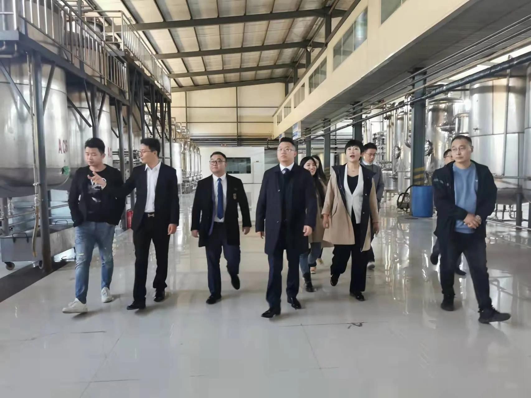 鼎恒升最新動態(tài)，追溯特定領(lǐng)域的發(fā)展歷程與重要地位