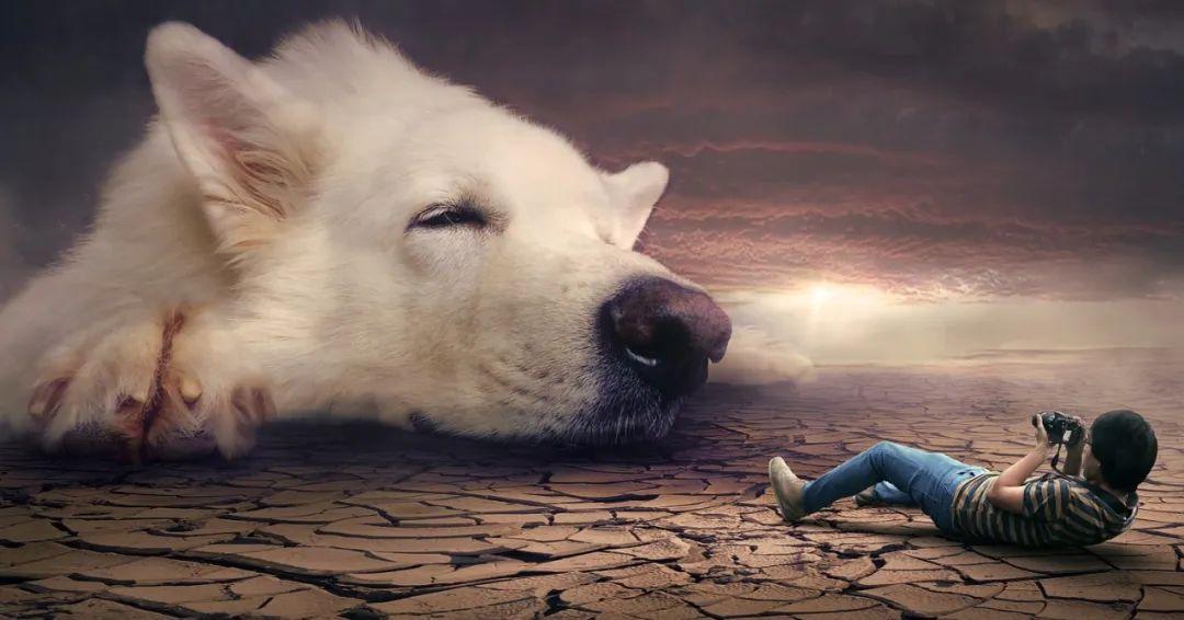 夢境最新研究揭秘，探索人類夢境的奧秘