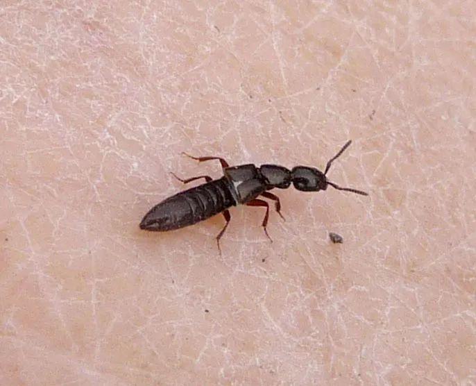 高效應(yīng)對問題關(guān)鍵策略，最新處理方法詳解