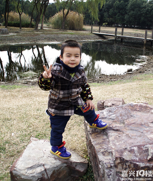 小六最新，時代背景下的重要印記與事件回顧