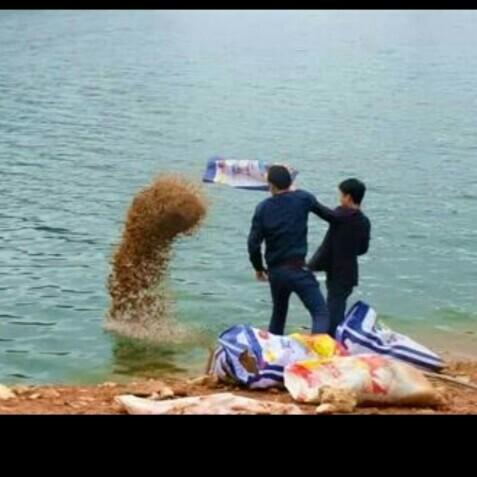 科學(xué)釣魚(yú)最新探索，學(xué)習(xí)與實(shí)踐的成就感之旅