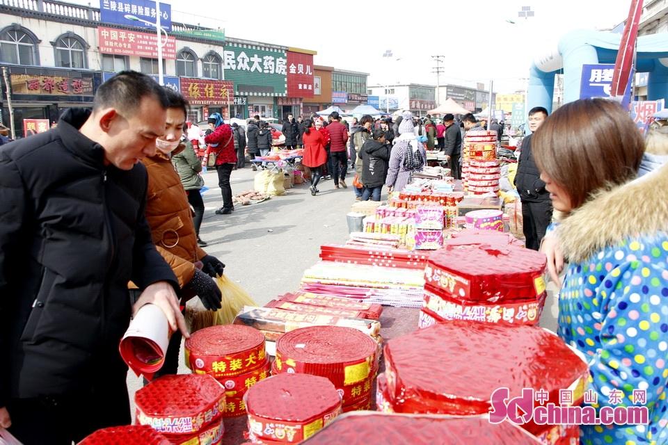 淘元素最新，淘淘的奇妙冒險之旅與友情的溫暖體驗