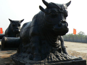 鐵牛視頻最新精彩呈現(xiàn)，領(lǐng)略與眾不同的世界！