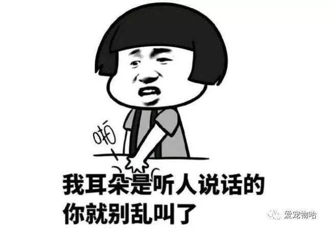 最新枕邊笑話，科技小寶貝，生活添樂趣