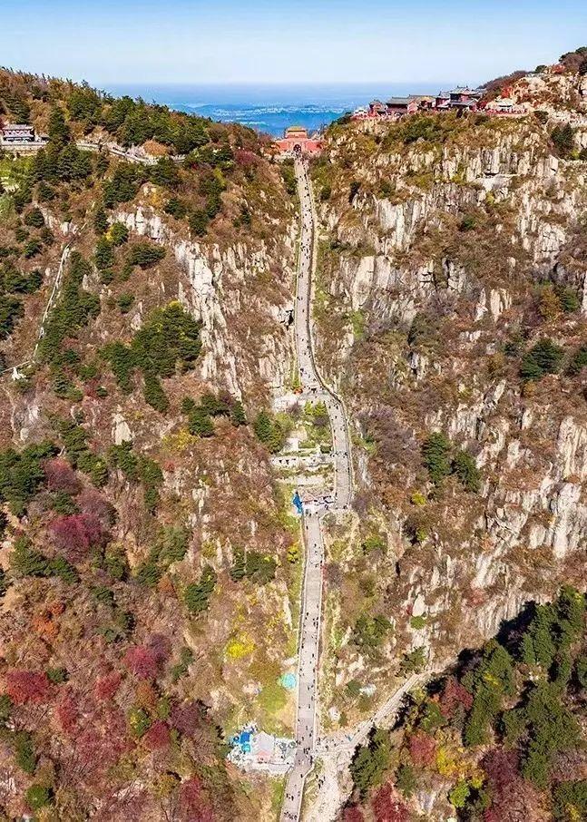 泰山最新聞，觀點與立場的深度探討