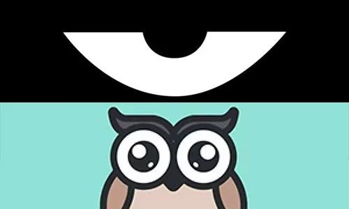 最新積目，全面解讀與觀點闡述