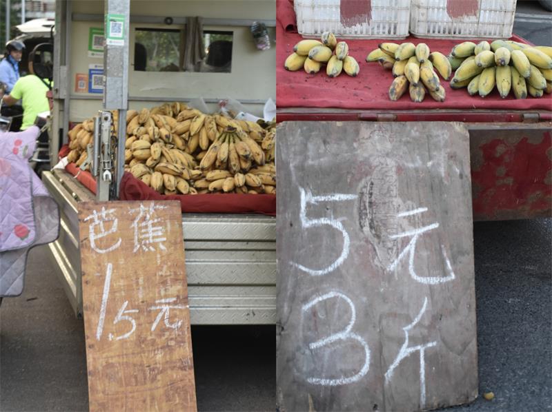 芭蕉最新價格，開啟心靈平靜的綠色之旅