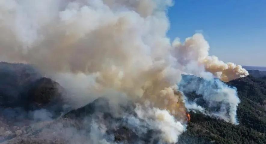 榆社山火防控指南，從初學(xué)者到進(jìn)階用戶的全步驟學(xué)習(xí)與防火任務(wù)實(shí)踐