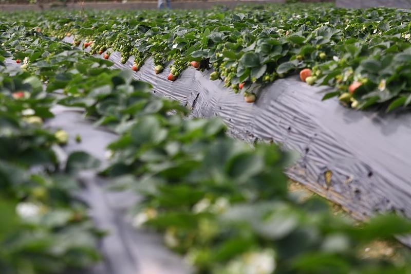 湖北最新封鎖，科技智能重塑防線，守護(hù)生活安全