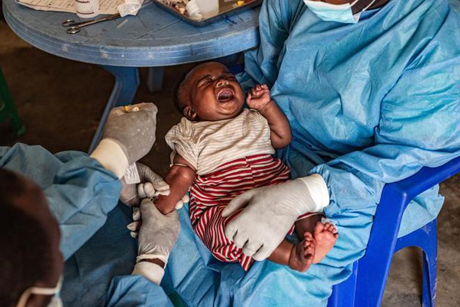 本土感染最新情況，自然美景中的探索之旅