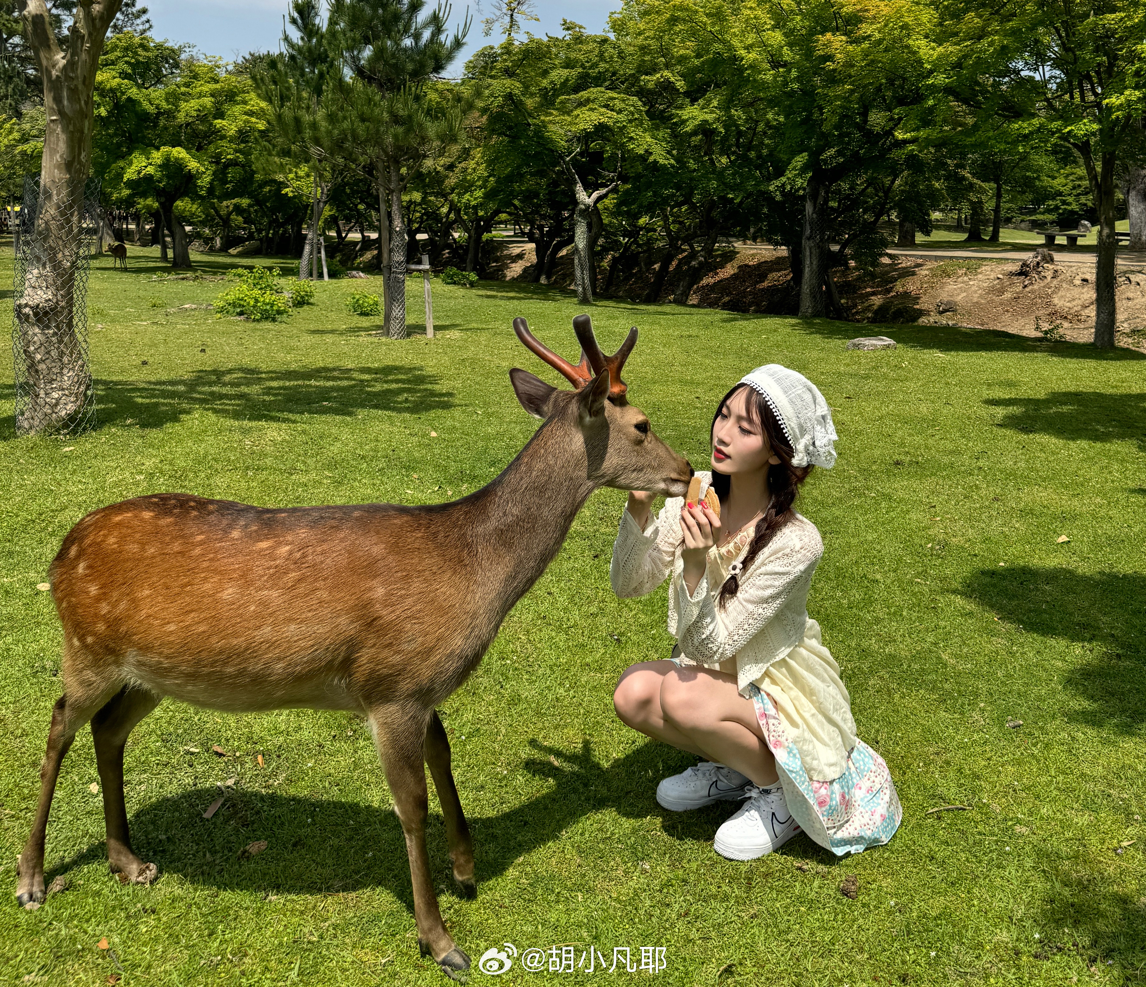 小鹿鹿最新，自然美景的探索之旅