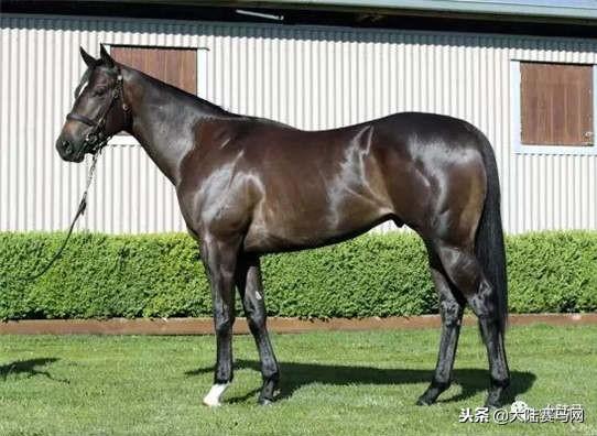 卡拉卡最新指南，任務(wù)完成與技能學(xué)習(xí)步驟攻略