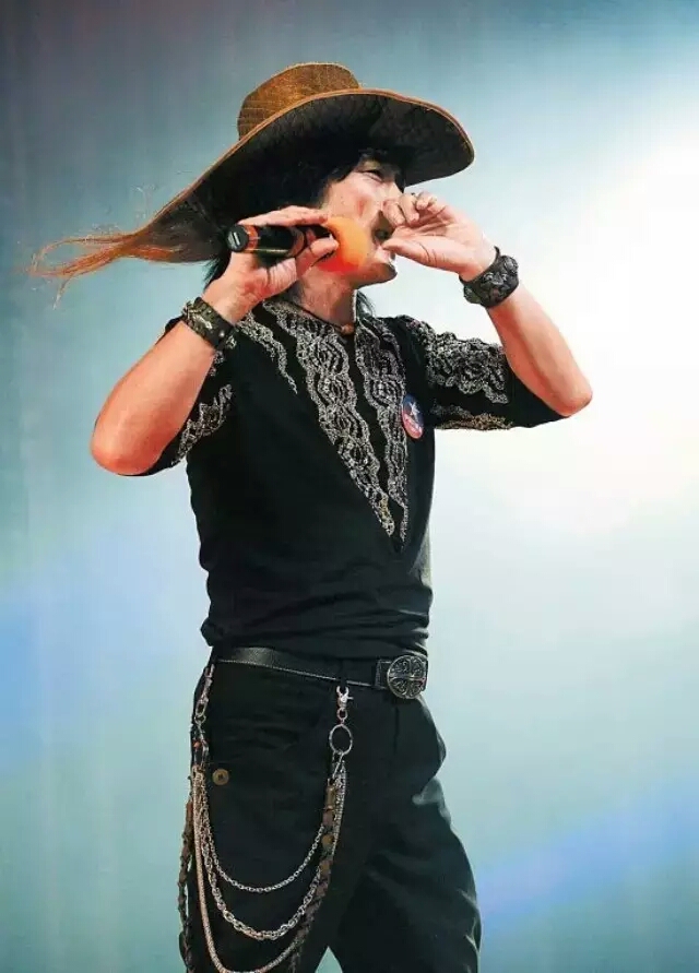 指哨最新，自然美景之旅，探尋內(nèi)心平靜與喜悅的旅程