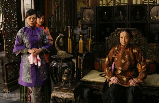 鐵梨花最新更新，日常生活中的趣事與情感紐帶