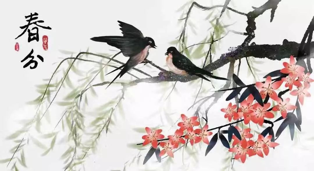 春分最新圖片，展現(xiàn)自然之美的瞬間