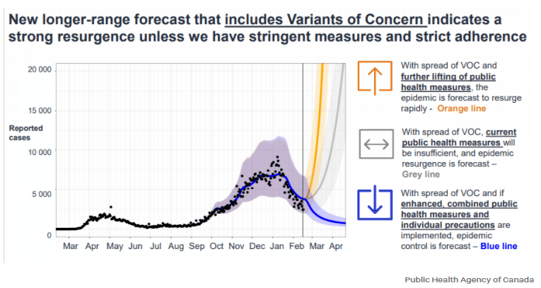 約克最新疫情動(dòng)態(tài)，學(xué)習(xí)變化中的自信與成就力量
