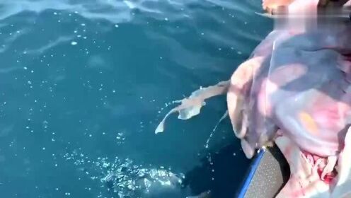 最新魚人流技術(shù)革命，高科技產(chǎn)品重塑未來生活體驗