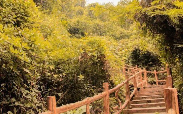 運動場館燈具 第68頁