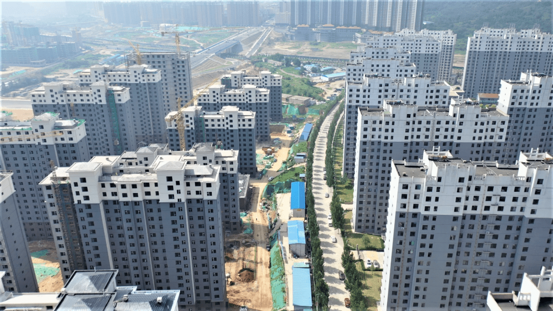 陽泉疫情最新動態(tài)及應對指南，初學者與進階用戶必備知識