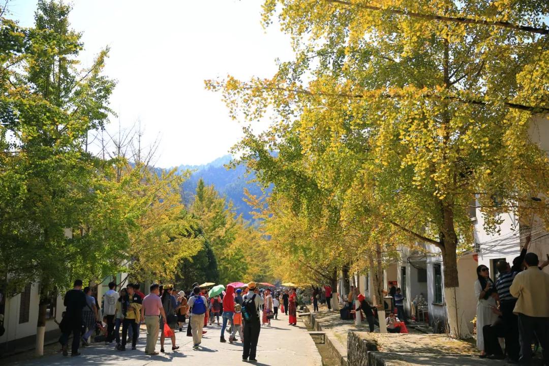 南雄最新現(xiàn)狀，科技前沿產(chǎn)品引領(lǐng)未來生活發(fā)展